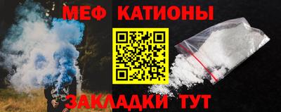 шишки Дубна