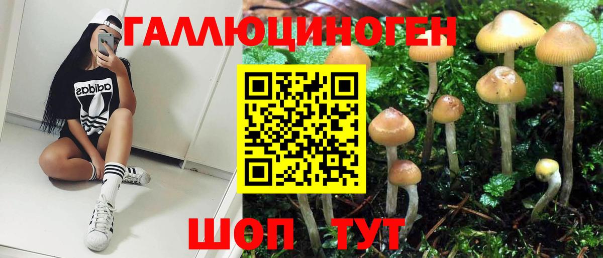 продажа наркотиков  Галлюциногенные грибы мухоморы  Вход с VPN  Луга 