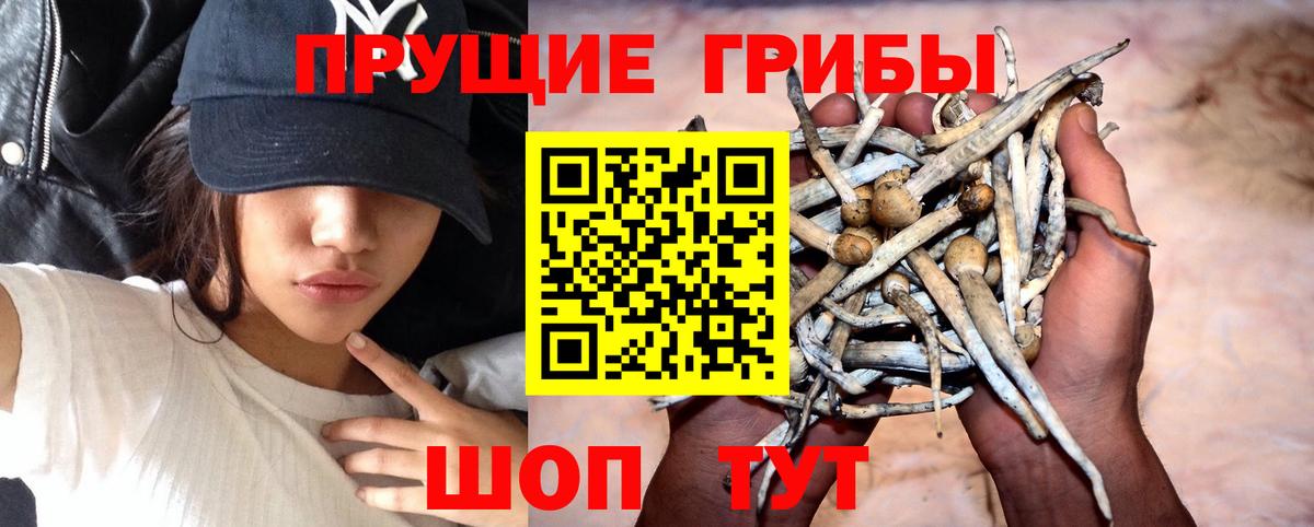 COCAIN  Вход с VPN  А ПВП СК   ГАШИШ  Конопля  Луга  Экстази  Меф   Канабис 